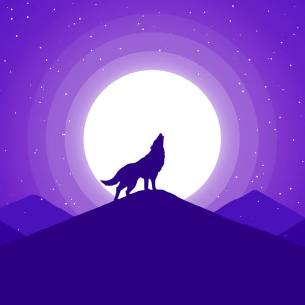 Cá Betta Halfmoon 5-7cm - ảnh 2